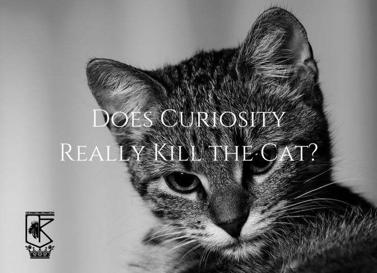 Does Curiosity Really Kill the Cat?
