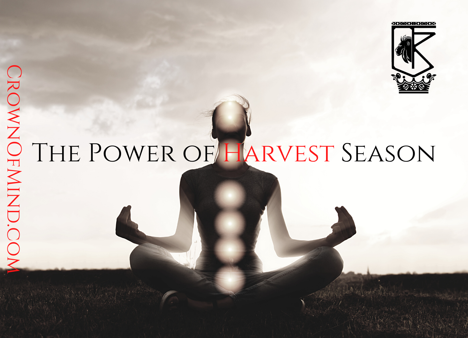 The Power of Harvest Season