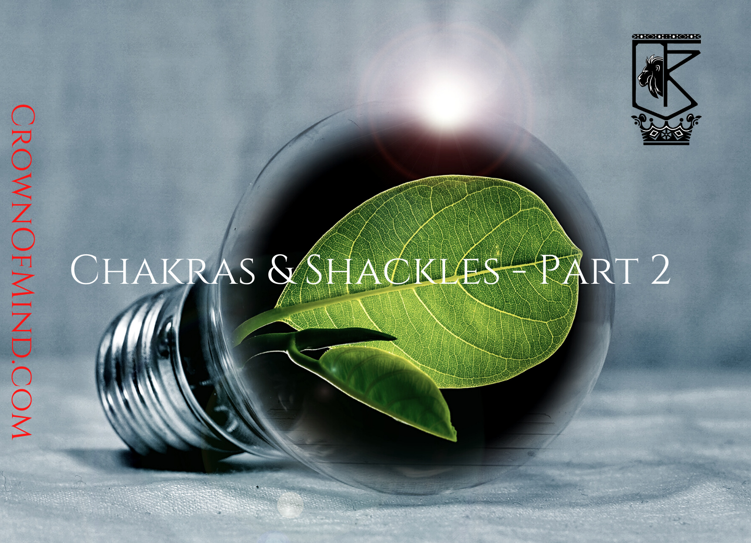 Chakras & Shackles – Part 2